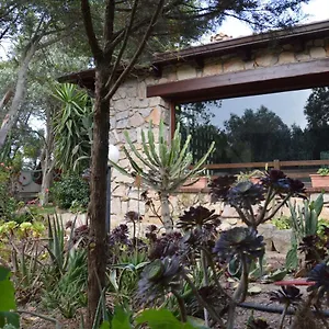 Giardino Degli Ulivi Gonnesa